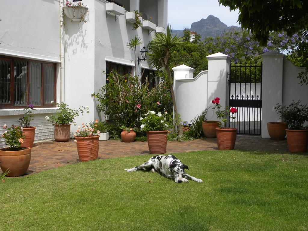Applegarth B&B And Self-Catering Studios Cidade Do Cabo Exterior foto