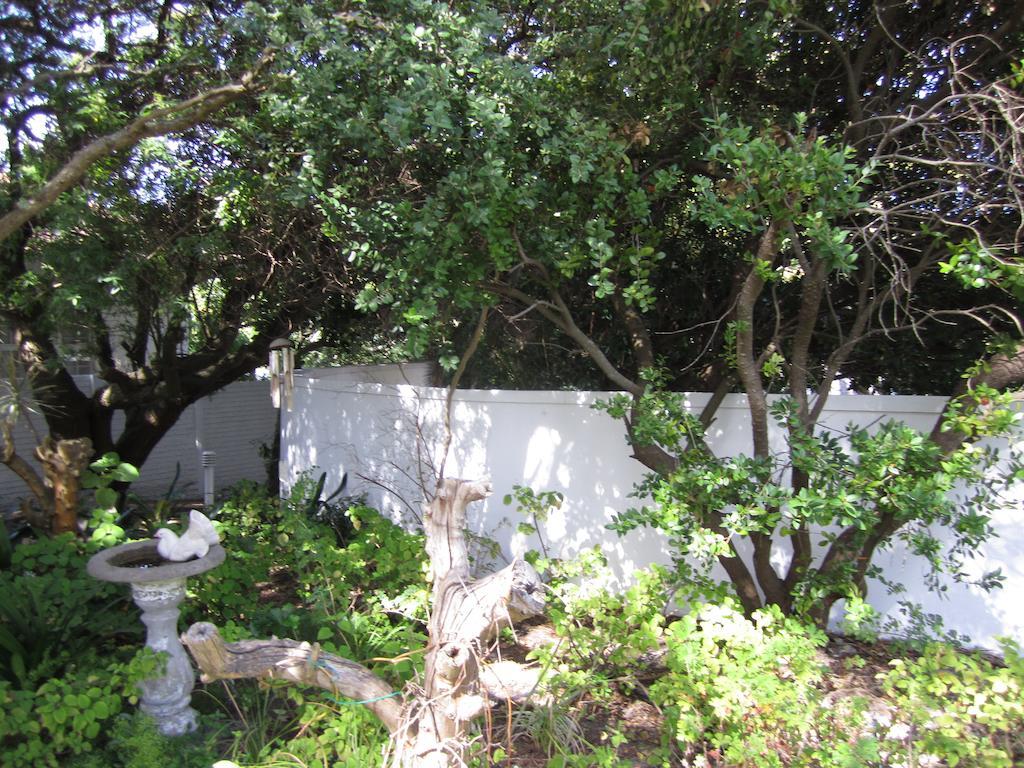 Applegarth B&B And Self-Catering Studios Cidade Do Cabo Exterior foto